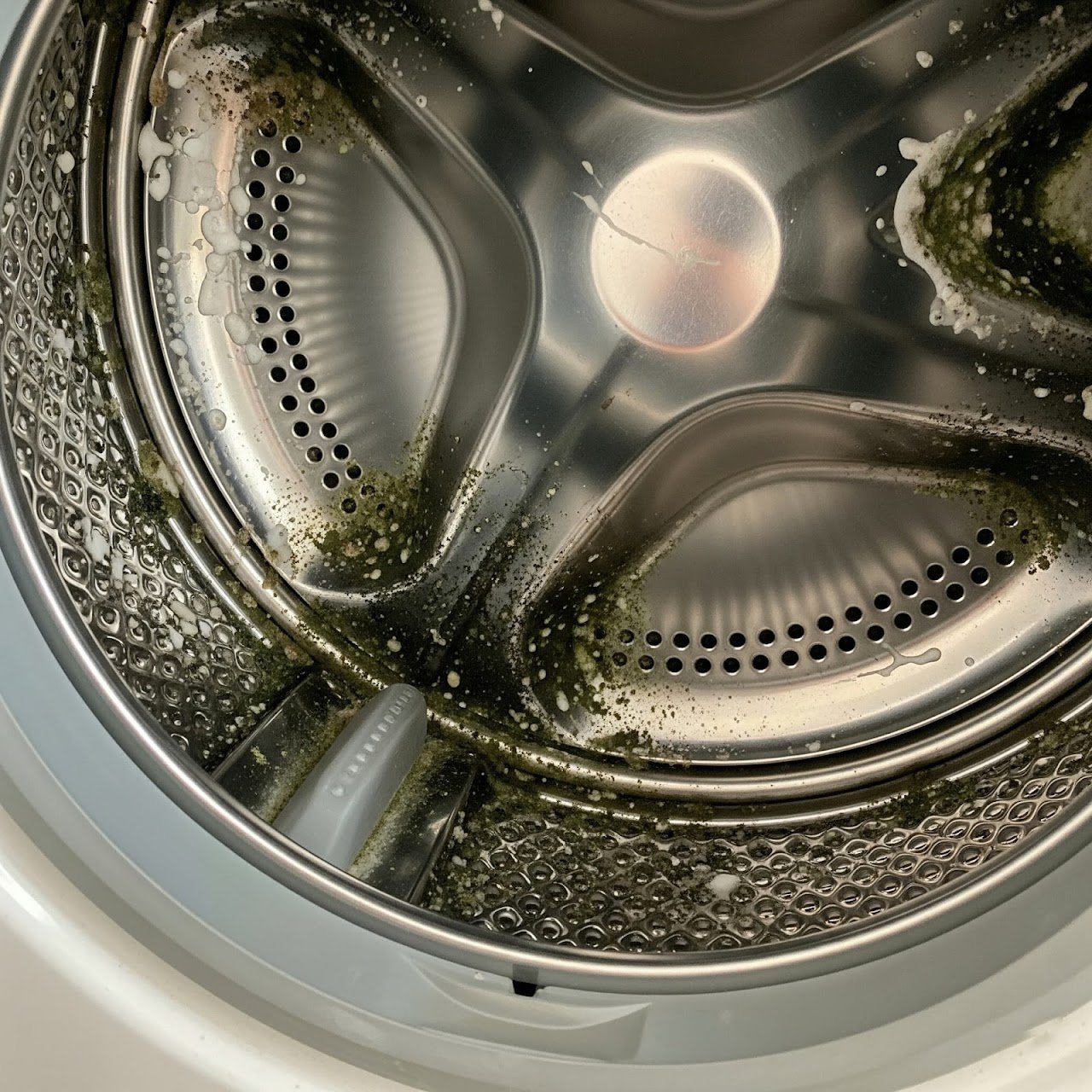 LG washer drum with mold residue